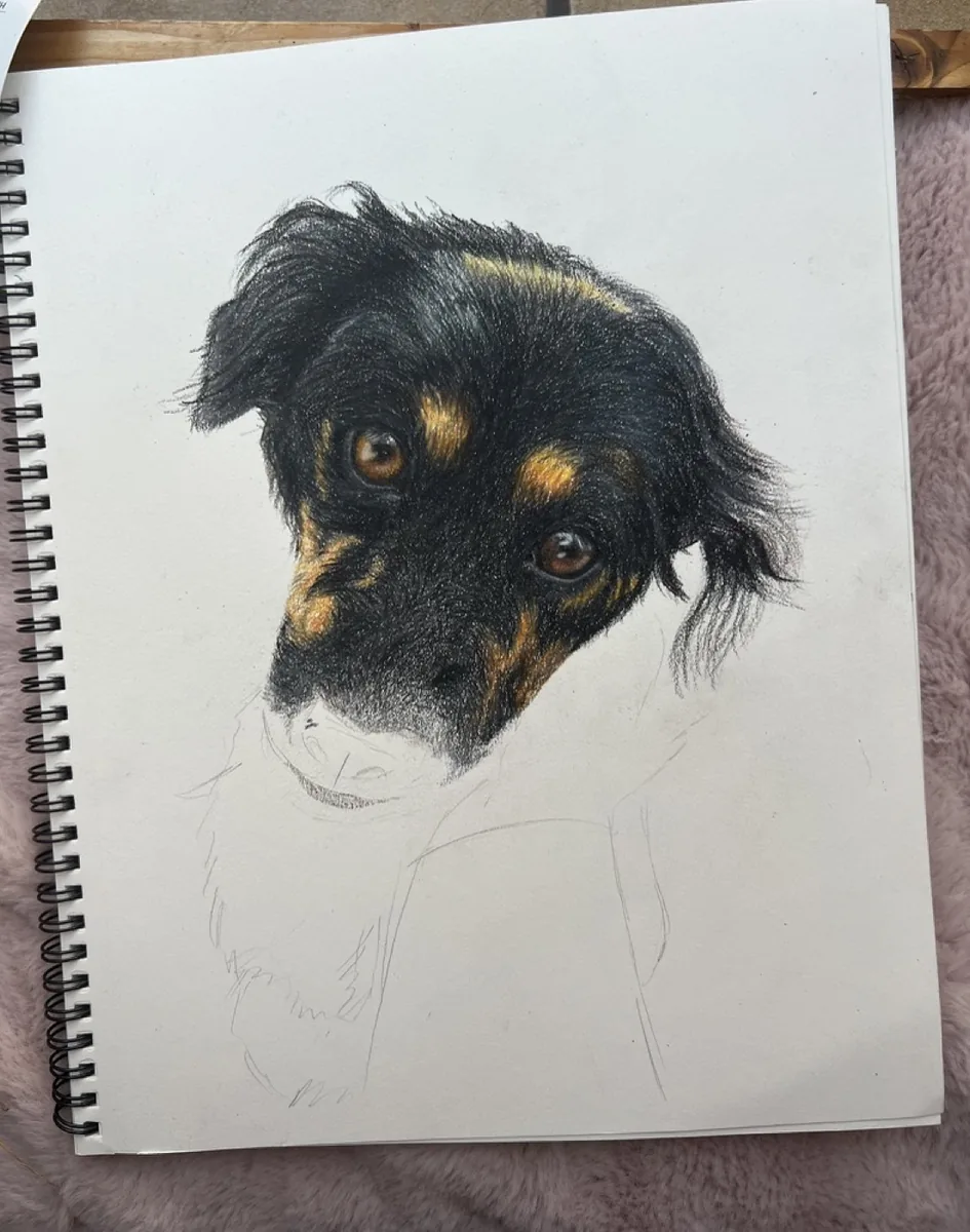 Aris Portrait im Entstehen, Buntstift